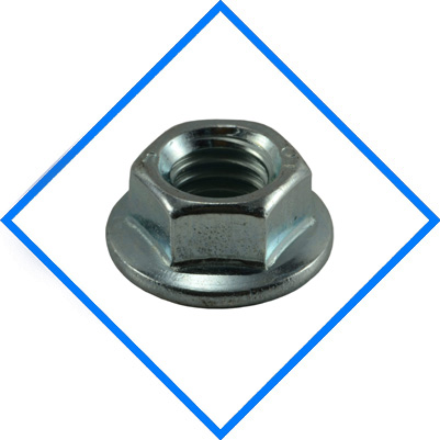 Stainless Steel 316/316L Hex Nuts