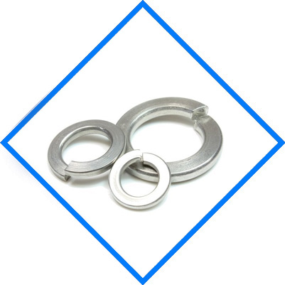 Alloy 20 Spring Washer