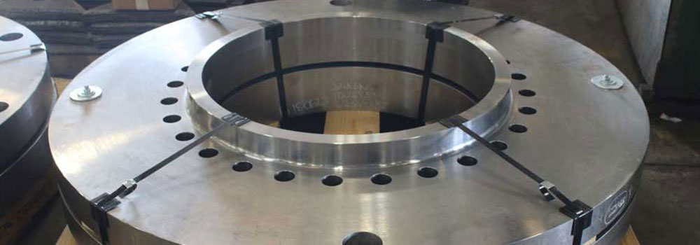 Stainless Steel ANSI B16.5 Flanges