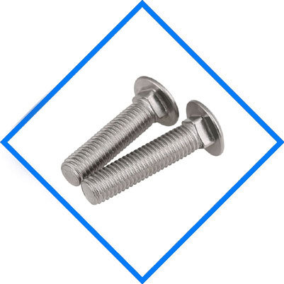 Inconel 625 Carriage Bolts