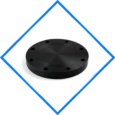 LTCS A350 LF2 Blind Flange LTCS A350 LF2 Blind Flange