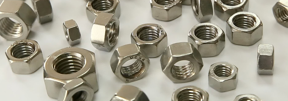 Super duplex S32760 / S32750 Hex Nuts