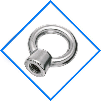 Stainless Steel 321 Eye Nuts