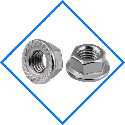 Stainless Steel 304 / 304L / 304H Serrated Flange Nuts Stainless Steel 304 / 304L / 304H Serrated Flange Nuts