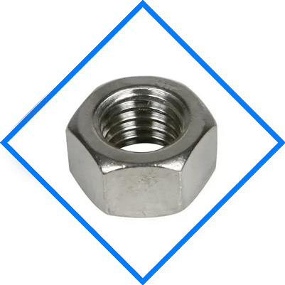 Stainless Steel 317/317L Hex Head Nuts