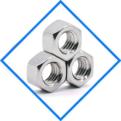 Hastelloy C22 Hex Head Nut