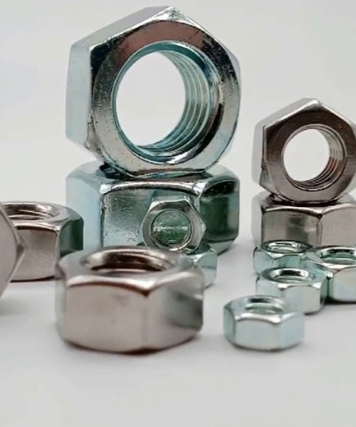 Stainless Steel Nuts