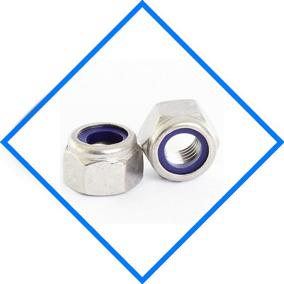Stainless Steel 317/317L Nylon Insert Nuts