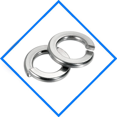 Stainless Steel 317/317L Split Washer