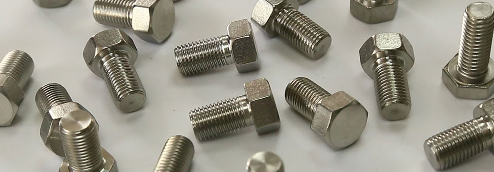 Stainless Steel 304 Hex Bolts