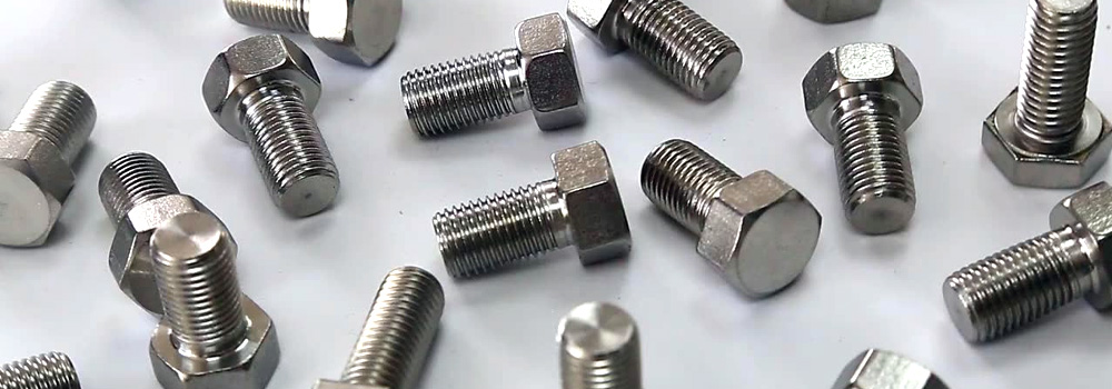 Super Duplex Steel S32750/S32760 Hex Bolts