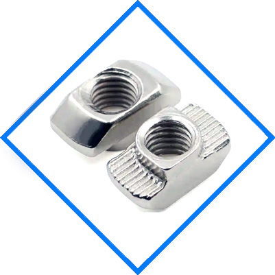 Stainless Steel 317/317L T Nuts