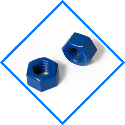 XYLAN Coated Hex Nuts
