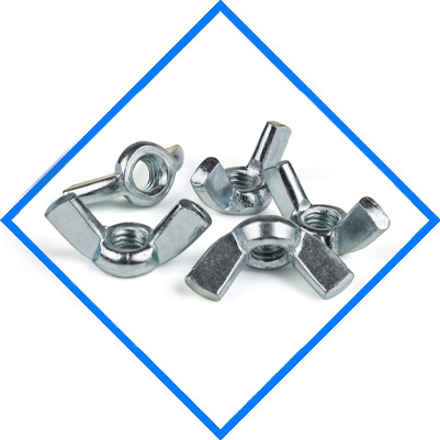 Stainless Steel 304 / 304L / 304H Wing Nuts